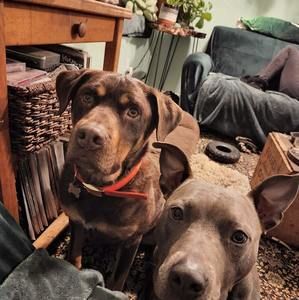 Meet your Posher, Adam